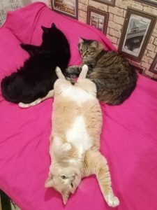 Marima50 Ершова